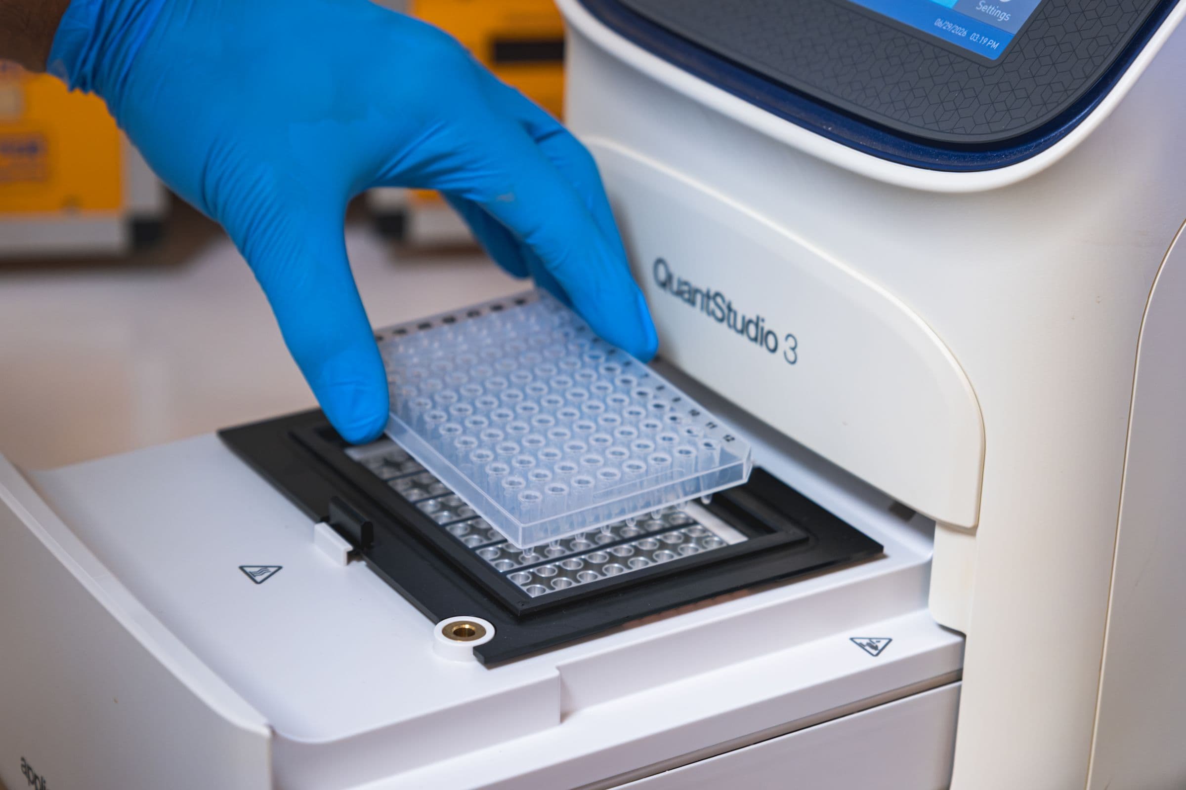 Chargement d’une plaque d’analyse dans un thermocycleur QuantStudio